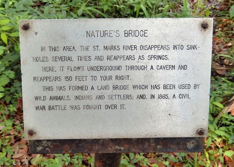 Nature's Bridge Marker image. Click for full size.