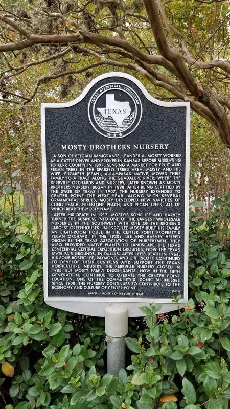 Mosty Brothers Nursery Marker image. Click for full size.