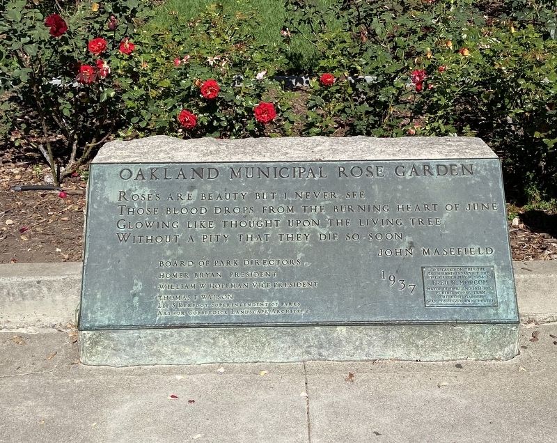 Morcom Amphitheater of Roses Dedication Plaque image. Click for full size.