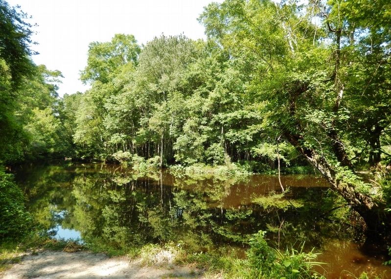 St. Marks River (<i>just north of marker</i>) image. Click for full size.