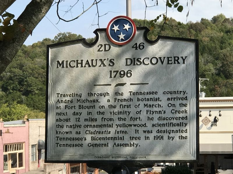 Michaux's Discovery Marker. Click for full size. Michaux's Discovery Marker image. Click for full size.