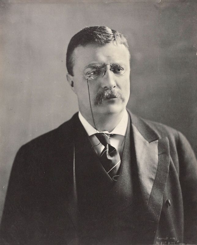 <i>Theodore Roosevelt, bust portrait, facing slightly right</i> (same photo as on marker) image. Click for full size.