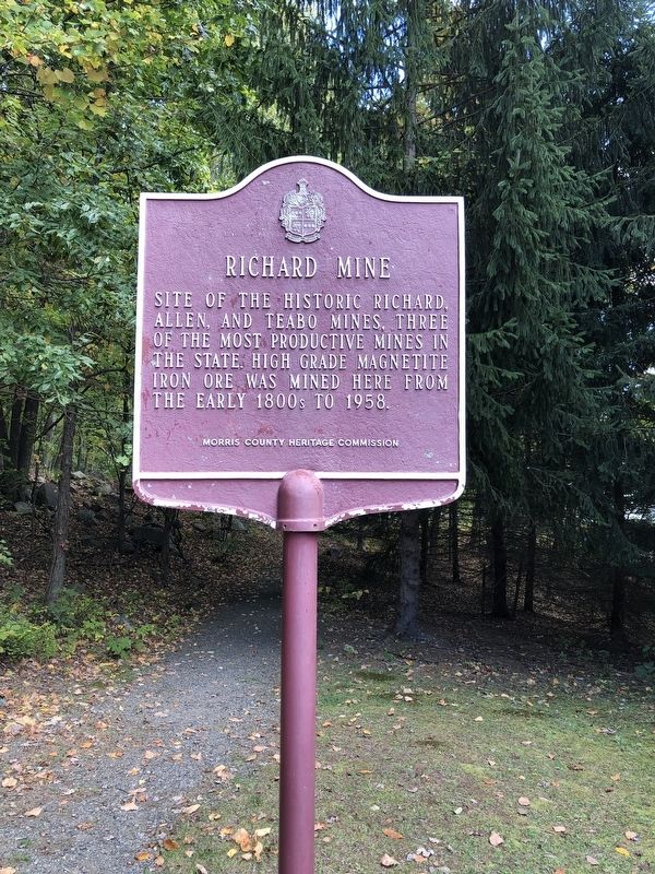 Richard Mine Marker image. Click for full size.
