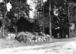 <i>Job Carr cabin, Point Defiance Park, Tacoma, Washington, ca. 1919</i> image. Click for full size.