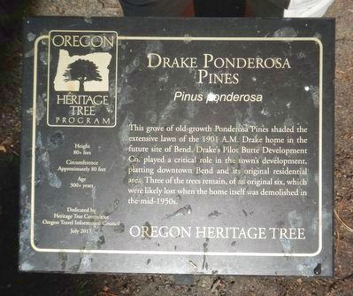 Drake Ponderosa Pines Marker image. Click for full size.