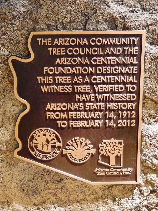 Centennial Witness Tree (<i>2012 marker</i>) image. Click for full size.