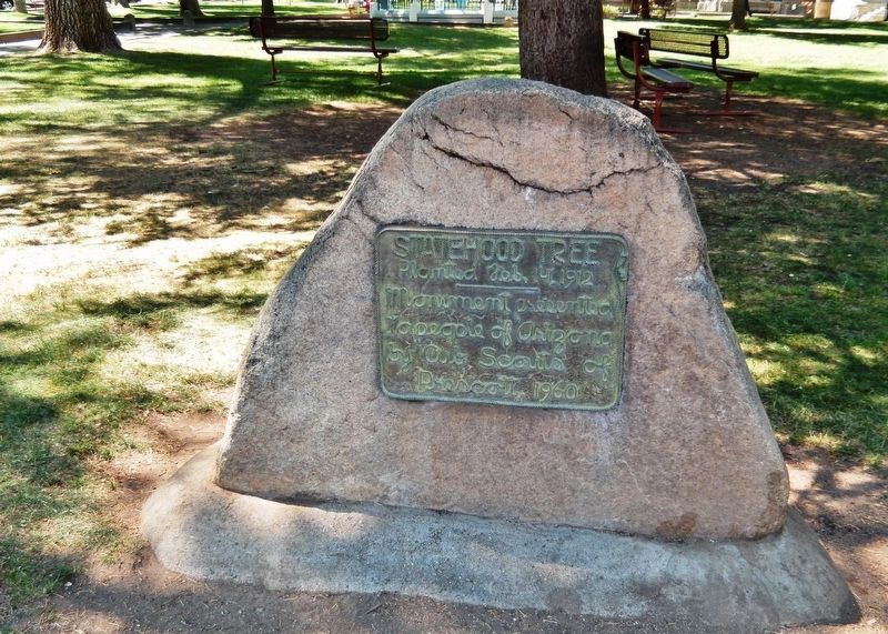 Statehood Tree / Centennial Witness Tree Monument image. Click for full size.