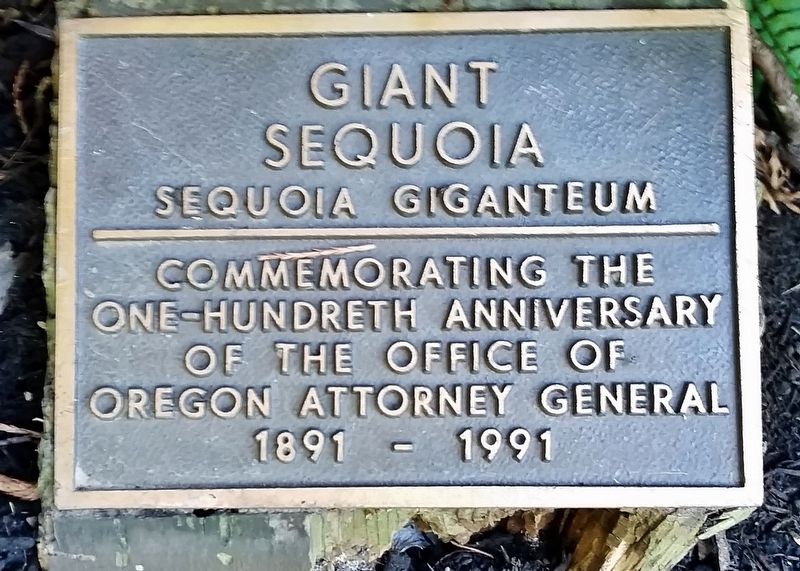 Giant Sequoia Marker image. Click for full size.