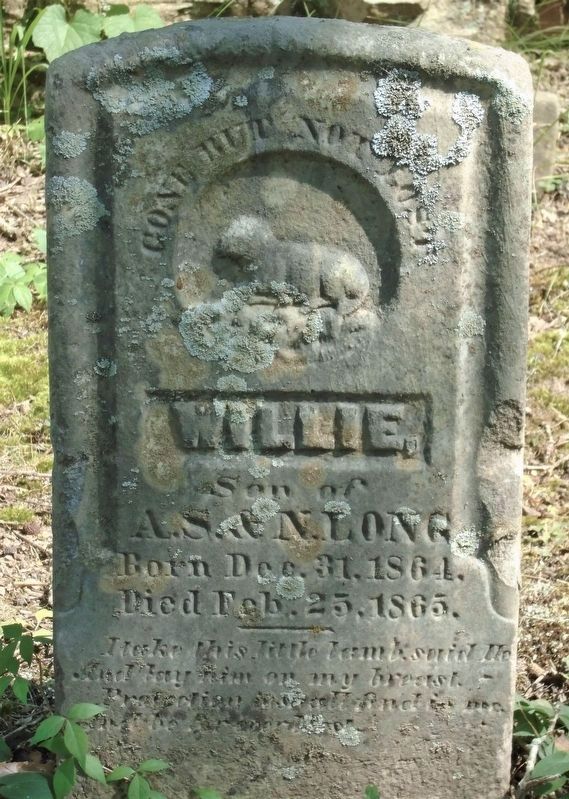 Willie Long Headstone in Maramec Community Cemetery image. Click for full size.