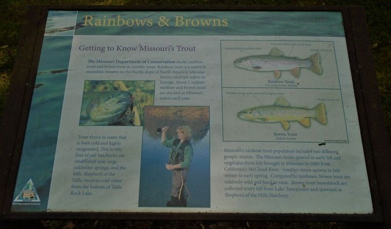Rainbows & Browns Marker image. Click for full size.