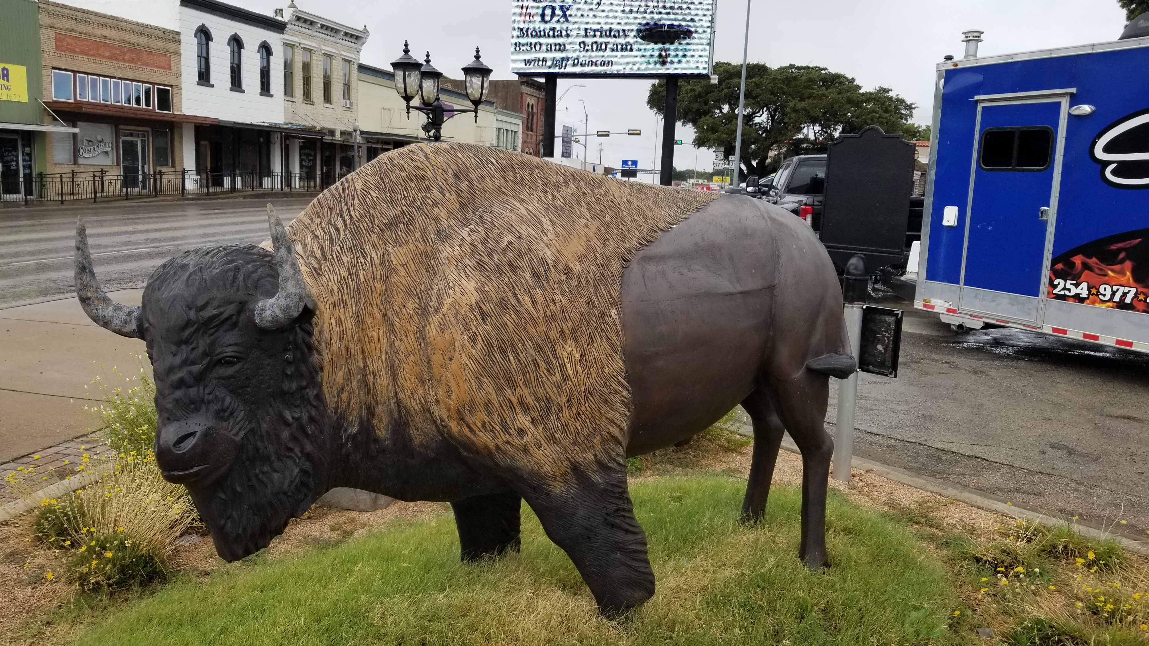 The Bison (American Buffalo) artwork