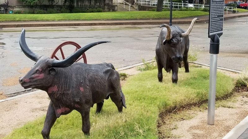 Texas Longhorn Marker. Click for full size. Texas Longhorn Marker image. Click for full size.