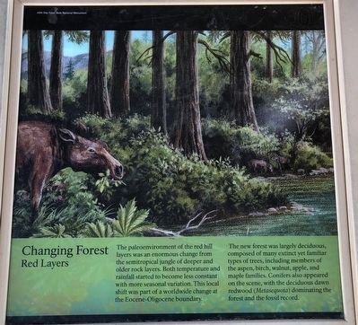 Painted by the Past Marker, Changing Forest panel image. Click for full size.