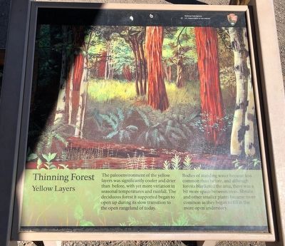 Painted by the Past Marker, Thinning Forest panel image. Click for full size.