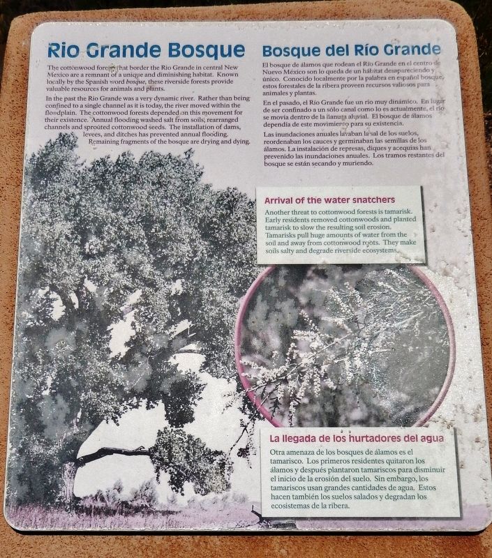 Rio Grande Bosque Marker image. Click for full size.