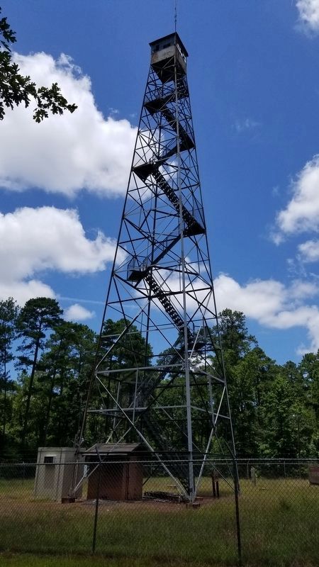 Liberty Hill Fire Tower image. Click for full size.