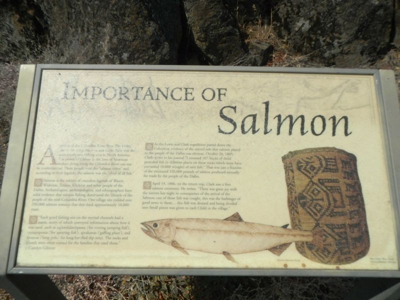 Importance of Salmon Marker image. Click for full size.