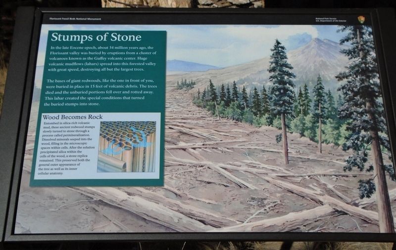 Stumps of Stone Marker image. Click for full size.