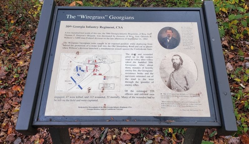 The "Wiregrass" Georgians Marker image. Click for full size.