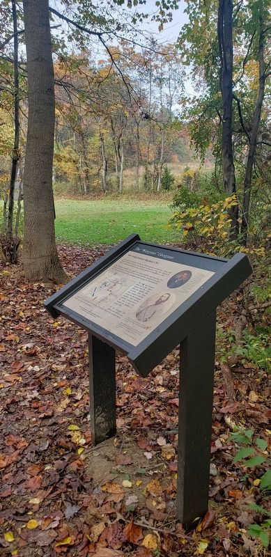The "Wiregrass" Georgians Marker. Click for full size. The "Wiregrass" Georgians Marker image. Click for full size.