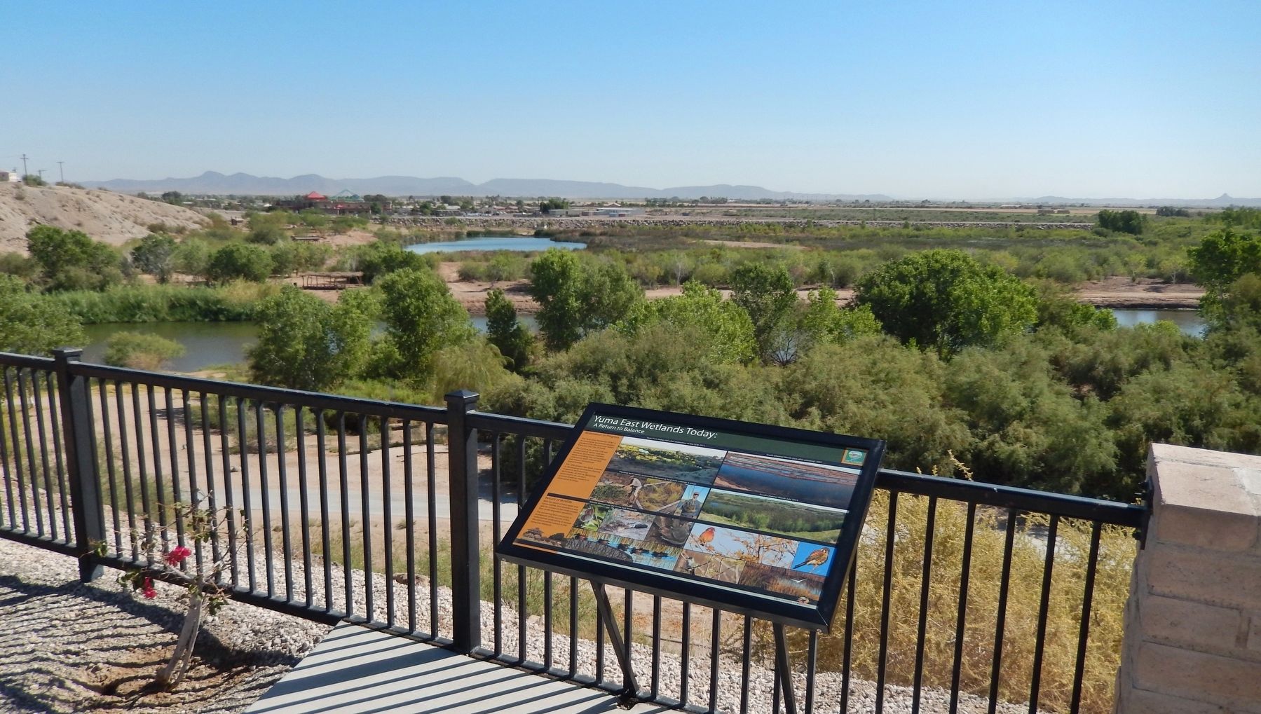 Yuma East Wetlands Today Marker image. Click for full size.