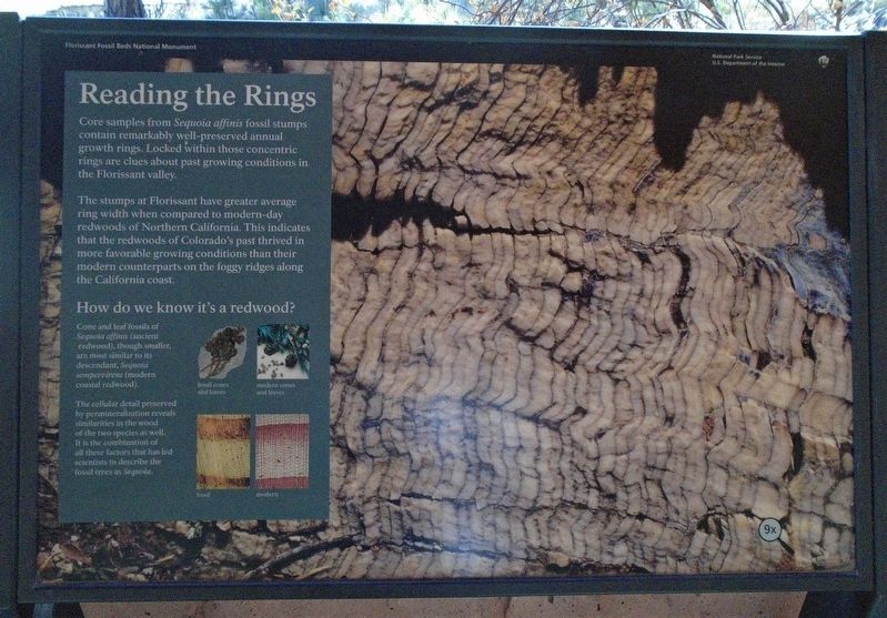 Reading the Rings Marker image. Click for full size.