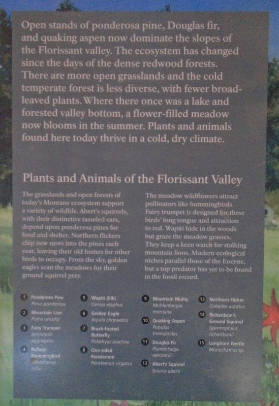Florissant Valley Today Marker Detail image. Click for full size.