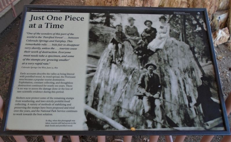 Just One Piece at a Time Marker. Click for full size. Just One Piece at a Time Marker image. Click for full size.
