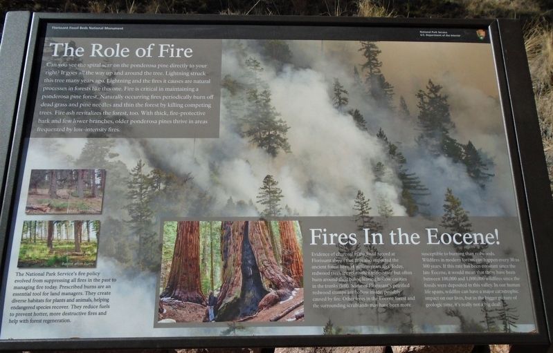 The Role of Fire Marker image. Click for full size.