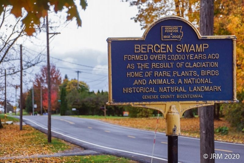 Bergen Swamp Marker Reverse image. Click for full size.