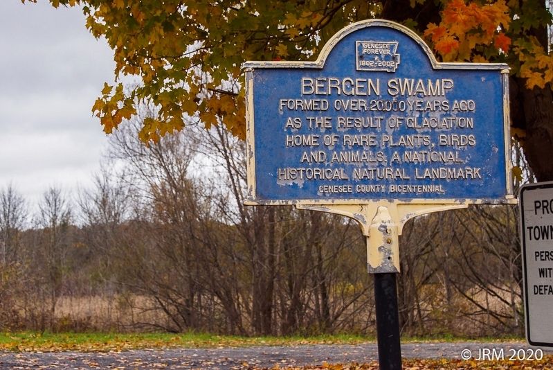 Bergen Swamp Marker Obverse image. Click for full size.