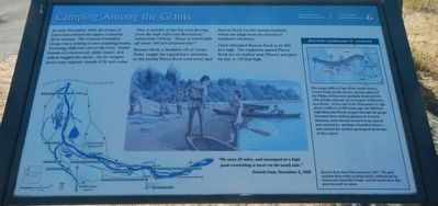 Camping Among the Giants Marker image. Click for full size.