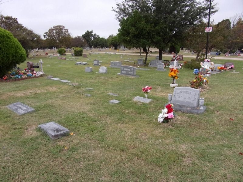 Pleasant Mound Cemetery image. Click for full size.