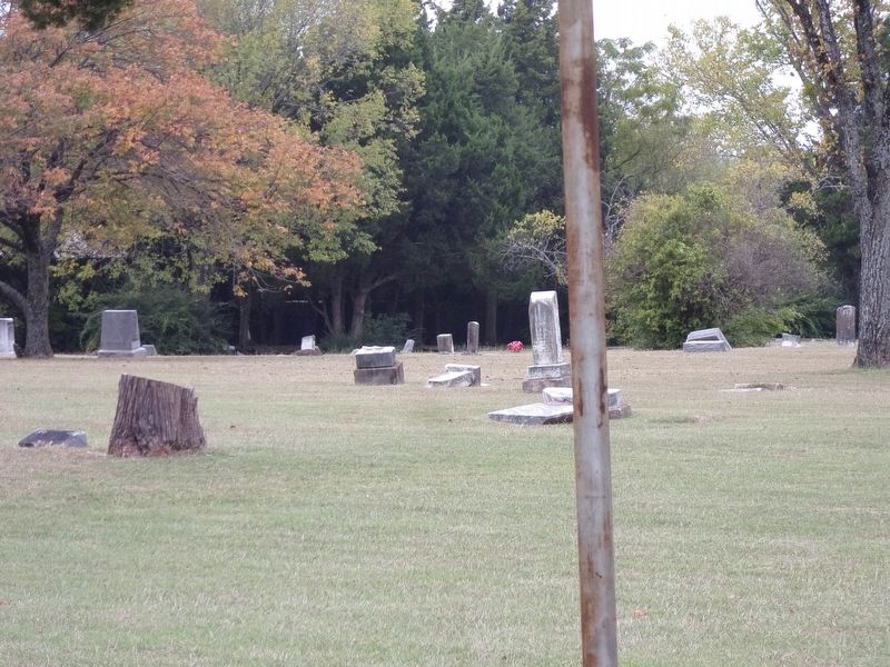 Pleasant Mound "Public" Cemetery image. Click for full size.
