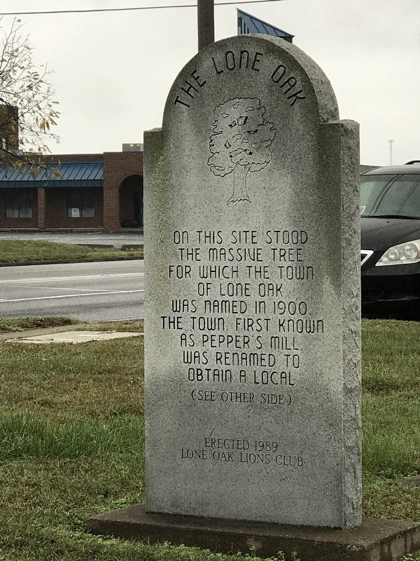 Lone Oak Tree Marker image. Click for full size.