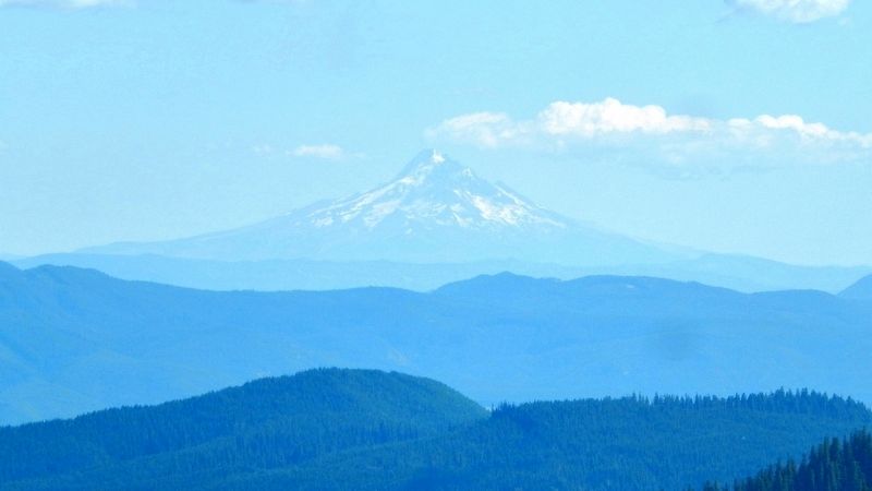 Mount Hood (<i>looking southeast from near marker</i>) image. Click for full size.
