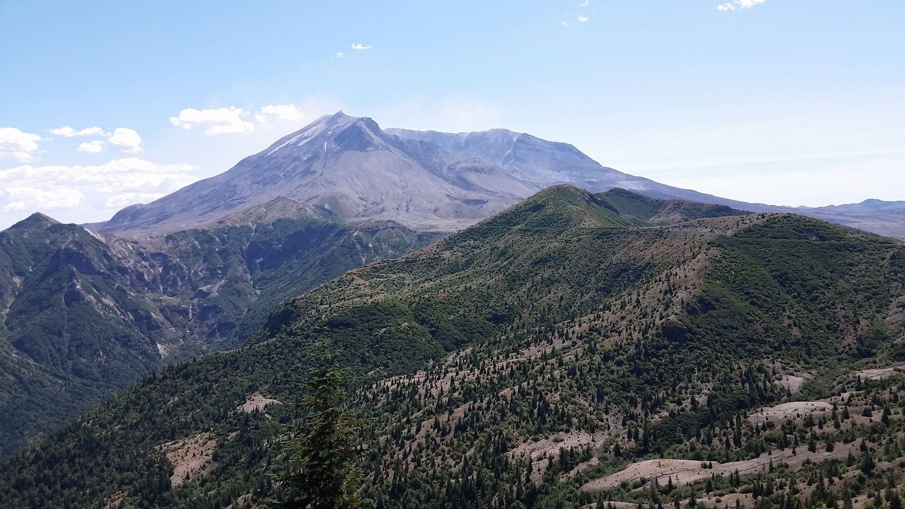Mount St. Helens (<i>looking southwest from marker</i>) image. Click for full size.