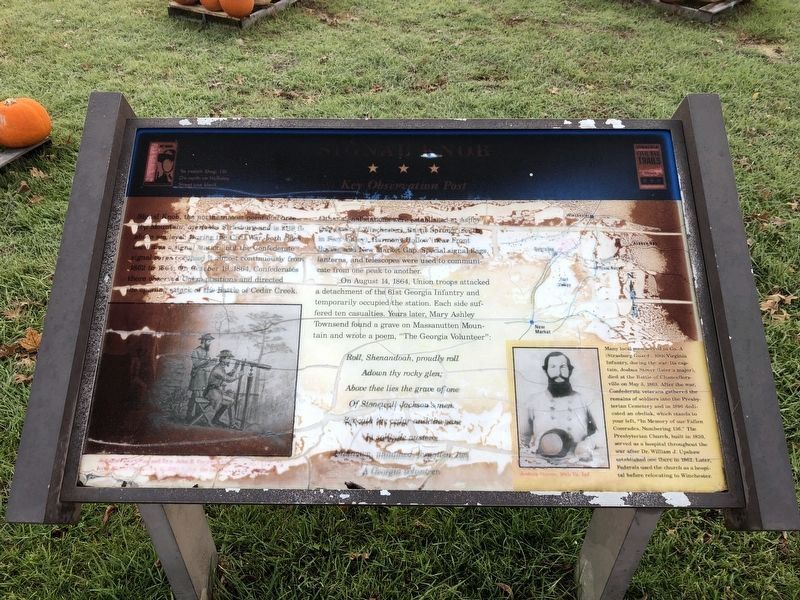Signal Knob Marker image. Click for full size.