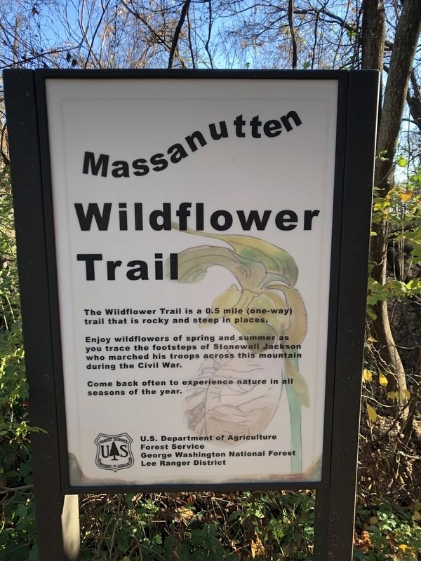 Massanutten Wildflower Trail Marker image. Click for full size.