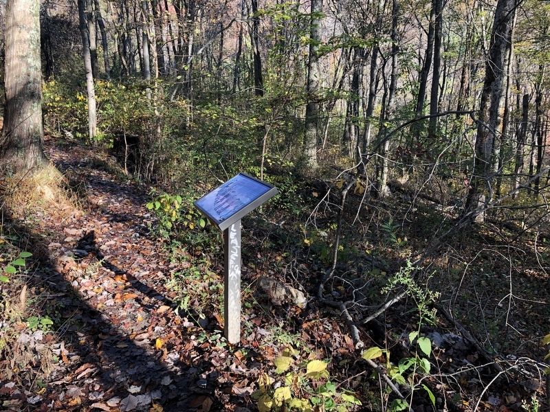 History Marches Forward Marker along the trail image. Click for full size.