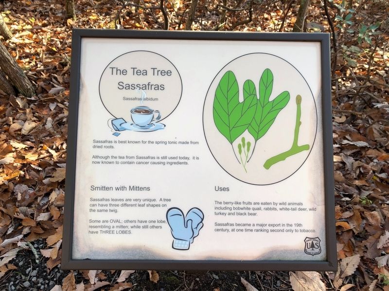 The Tea Tree Marker. Click for full size. The Tea Tree Marker image. Click for full size.