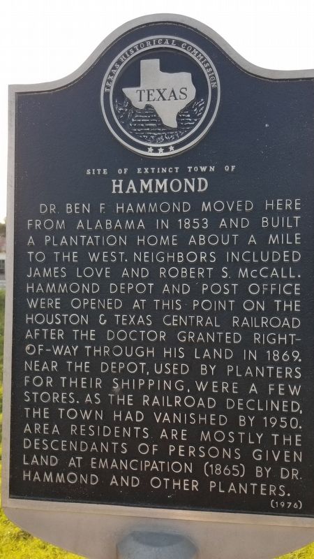 Site of Extinct Town of Hammond Marker image. Click for full size.