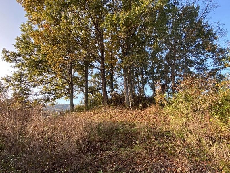 Glass Mounds Archaeological Site. Click for full size. Glass Mounds Archaeological Site image. Click for full size.