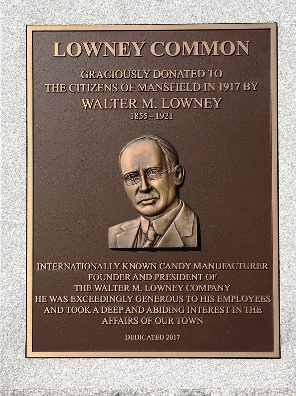 Lowney Common Marker image. Click for full size.
