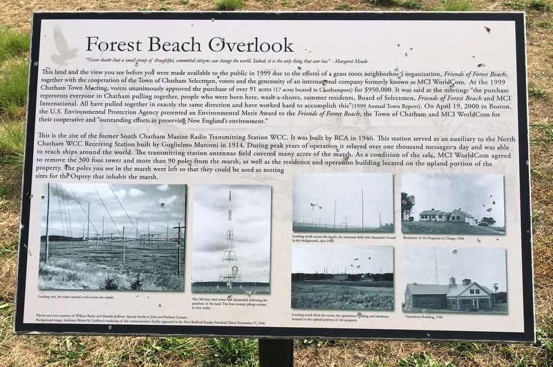 Forest Beach Overlook Marker image. Click for full size.