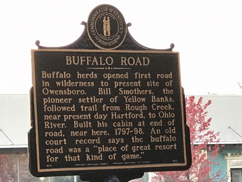 Buffalo Road Marker image. Click for full size.