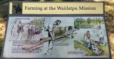 Farming at the Waiilatpu Mission Marker image. Click for full size.