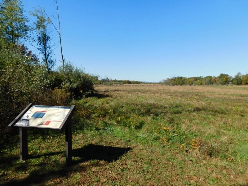 The Middle Field Marker. Click for full size. The Middle Field Marker image. Click for full size.