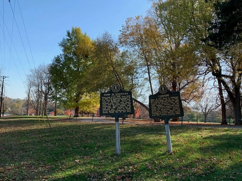 Cardome Marker Site. Click for full size. Cardome Marker Site image. Click for full size.