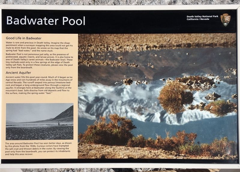 Badwater Pool Marker image. Click for full size.